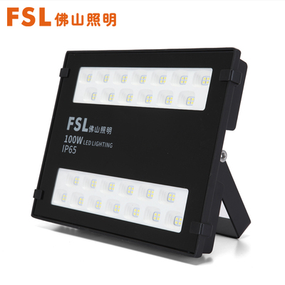 FZ58泛光灯