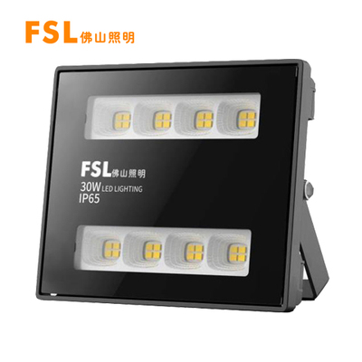 FZ58泛光灯