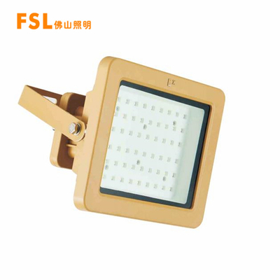 防爆泛光灯50W